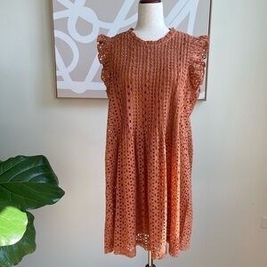Madewell Eyelet Ruffle Sleeve Pintuck Mini Dress, size L